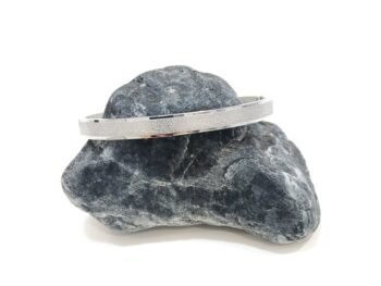 gyalisterieiropeda asimi