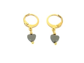 skoukariki kardia aimatitis