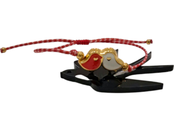 martis me poulakia epixryso